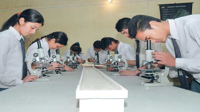 Reliance International Company